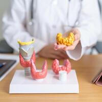 Doctor with human Thyroid anatomy model and tablet. Hyperthyroidism, Hypothyroidism, Hashimoto Thyroiditis, Thyroid Tumor and Cancer, Postpartum, Papillary Carcinoma and Health concept photo
