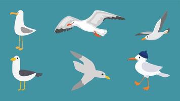 A set of bird collection vector