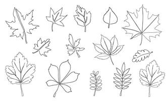 Set of autumn leaves drawn in a continuous line. Autumn leaf in one line style. Flower sketch. Composition of various leaves. Simple contour leaves. illustration in minimalist style. illustration vector