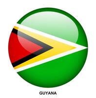 GUYANA flag button on white background vector