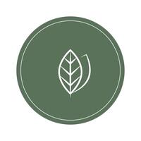 Leaf Pair Icon Illustrations on White Background. vector