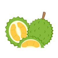 Durian cartoon . Durian on white background. Durian logo design. vector