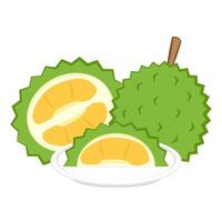 Durian cartoon . Durian on white background. Durian logo design. vector