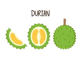 Durian cartoon . Durian on white background. Durian logo design. vector