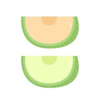 melon . melon on white background. wallpaper. free space for text. vector