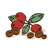 Coffee beans . Coffee beans on white background. free space for text. vector