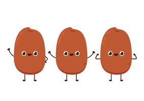 Peanuts character design. Peanuts on white background. vector