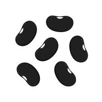 Black turtle bean . Black turtle bean on white background. vector