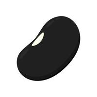 Black turtle bean . Black turtle bean on white background. vector