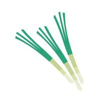 Spring onions . Spring onions on white background. vector