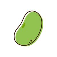 Mung Bean . Mung Bean on white background. vector