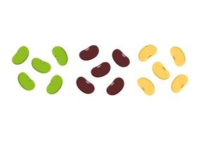 Mung bean, Kidney bean and Soy bean on white background. vector