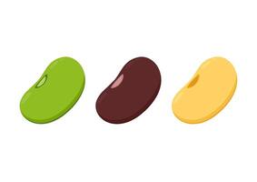 Mung bean, Kidney bean and Soy bean on white background. vector
