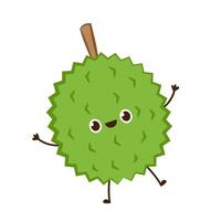 Durian character design. Durian on white background. Durian cartoon . vector