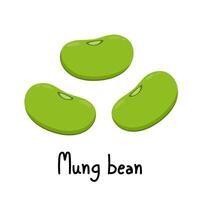 Mung Bean . Mung Bean on white background. vector