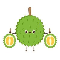 Durian character design. Durian on white background. Durian cartoon . vector