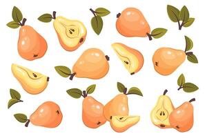 Set of whole, half and pear slice solated on white background. Fresh ripe fruit with leaves. Pear top view. Healthy vegetarian organic food. illustration for healthy lifestyle, good nutrition vector