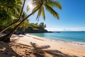 Tropical paradise awaits with swaying palm trees lining a pristine beach lapped by turquoise waters photo
