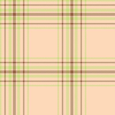 Plaid seamless pattern. Check fabric texture. textile print.