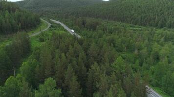 Aerial view of road through the forest. Scene. Bird eye view of beautiful landscape with green lush forest on a summer day, hilly forested region. video