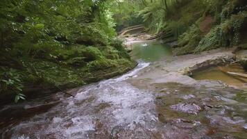 A small mountain river flows in the jungle. CREATIVE. Brown stones in a transparent river. Small river with waves and rocks. There is a ladder in the background video
