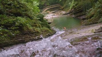 A small mountain river flows in the jungle. CREATIVE. Brown stones in a transparent river. Small river with waves and rocks. There is a ladder in the background video