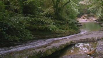 A small mountain river flows in the jungle. CREATIVE. Brown stones in a transparent river. Small river with waves and rocks. There is a ladder in the background video
