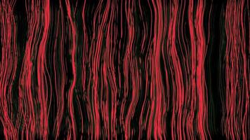 Black background.Design.The bright purple and red lines in the animation are thin in size and fluctuate across the background. video