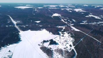 Bird's-eye view. Clip.View of the snowy forests with large snowdrifts and large tall fir trees and various trees. video