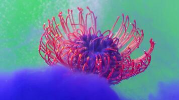 A bright flower in abstraction.Stock footage. A bright background on which a flower is lowered into the water and it opens and bubbles envelop it. video