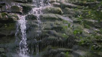en ström av vatten långsamt flöden ner de rocks. kreativ. de strömma av de ström kör över de stenar i de berg. en långsam ström flöden ner i de djungel video