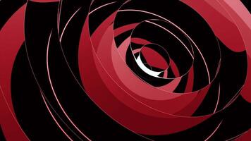 A big rose in abstraction. Design. an alder flower with huge petals that gives off different colors in abstraction moves and rotates. video