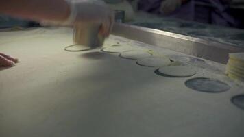 Close-up of slicing dough for dumplings. Clip. Cook quickly makes dumpling molds. Round cutting of dough for large number of dumplings video