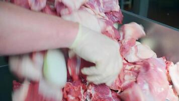 Modern minced meat production. Clp. Putting a large pieces of meat in a stainless bowl at the factory, concept of food. video