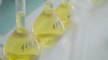 Glassware equipment in laboratory for science or chemical experiments. Action. Flasks filled with liquid substances at the lab. video