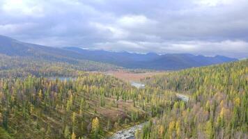 Summer view from a height. Clip. A bright forest with beautiful big mountains in the background and a slightly gray sky with gray clouds overhead. video