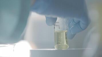 Laboratory test tubes for analysis. Action. Laboratory flasks and test tubes with liquid for analysis and experiments. Laboratory work with test tubes and liquid video