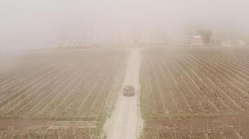 Desert nature.Action.A deserted field with thickets and a road on which an expensive foreign car is driving, and you can see the city behind the fog. video