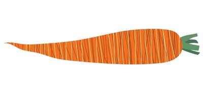 Isolated carrot with texture. Bright vegetable for your design. vector