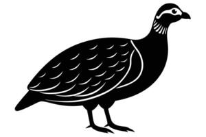 Guinea Fowl Bird Silhouette, silhouette of Guinea Fowls in different positions vector