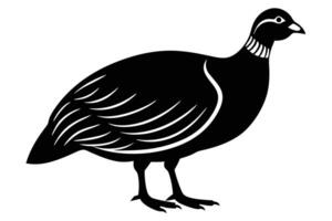 Guinea Fowl Bird Silhouette, silhouette of Guinea Fowls in different positions vector