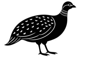 Guinea Fowl Bird Silhouette, silhouette of Guinea Fowls in different positions vector
