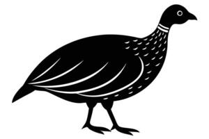 Guinea Fowl Bird Silhouette, silhouette of Guinea Fowls in different positions vector