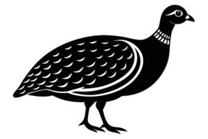 Guinea Fowl Bird Silhouette, silhouette of Guinea Fowls in different positions vector