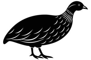 Guinea Fowl Bird Silhouette, silhouette of Guinea Fowls in different positions vector