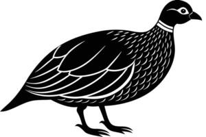 Guinea Fowl Bird Silhouette, silhouette of Guinea Fowls in different positions vector