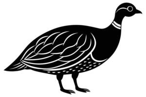 Guinea Fowl Bird Silhouette, silhouette of Guinea Fowls in different positions vector