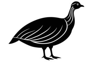 Guinea Fowl Bird Silhouette, silhouette of Guinea Fowls in different positions vector
