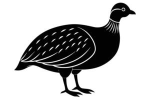 Guinea Fowl Bird Silhouette, silhouette of Guinea Fowls in different positions vector