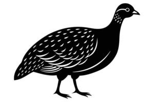 Guinea Fowl Bird Silhouette, silhouette of Guinea Fowls in different positions vector